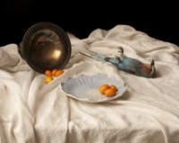 "Solomon's House" by Sarah Cusimano Miles