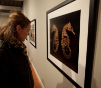 A visitor examines the work
